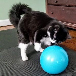 Team Page: The Young and the Restless